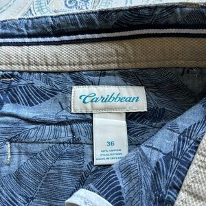Caribbean Blue Leaf Print Men's Flat Front Shorts